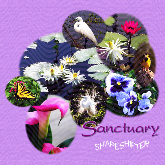 Sanctuary