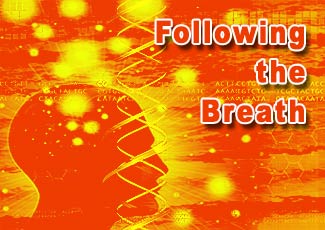 DNAvatar™ - Following the Breath