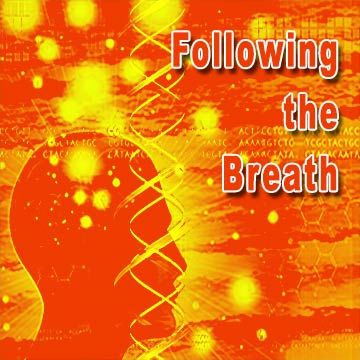 DNAvatar™ - Following the Breath